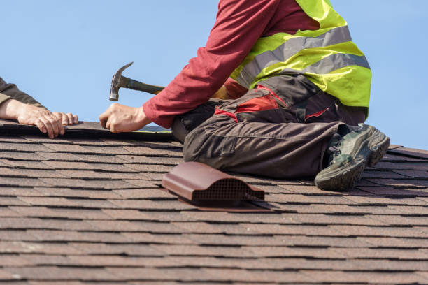 Roof Gutter Cleaning in Salamanca, NY