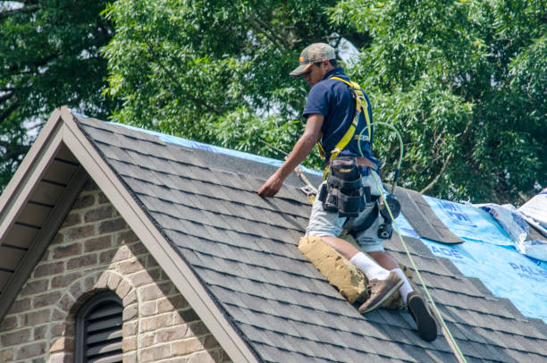 Best Roof Gutter Cleaning  in Salamanca, NY