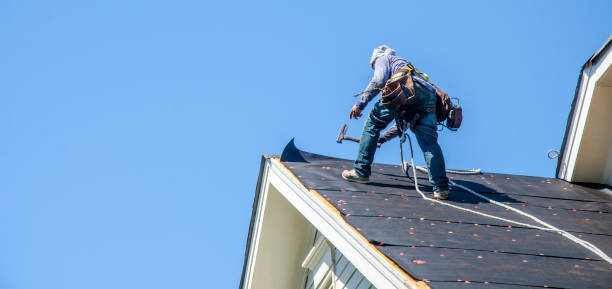 Best Sealant for Roof  in Salamanca, NY